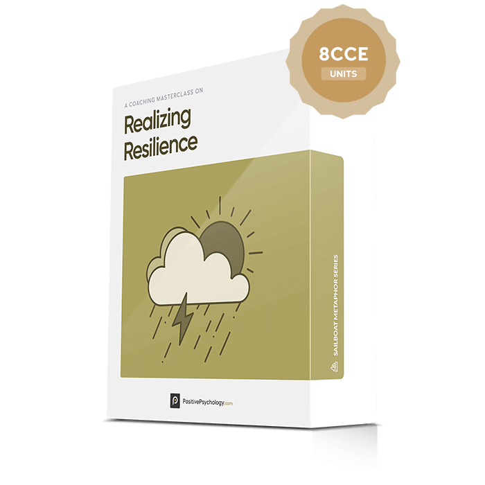 Hugo Alberts - Realizing Resilience