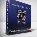 Mica Galvao - Galvao Style Back Attacks
