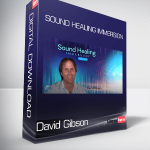 David Gibson - Sound Healing Immersion