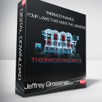 Jeffrey Grossman - Thermodynamics - Four Laws That Move the Universe