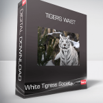 White Tigress Society - Tiger's Waist