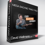 David Wallimann - MEGA BACKING TRACK PACK