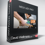 David Wallimann - MEGA LICK PACK