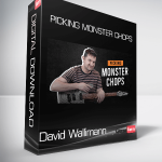 David Wallimann - PICKING MONSTER CHOPS