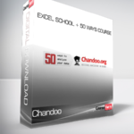 Chandoo - Excel School + 50 Ways Course