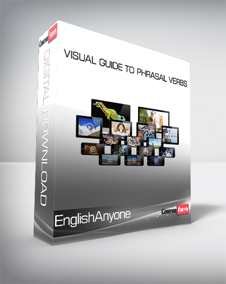 EnglishAnyone - Visual Guide to Phrasal Verbs