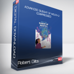 Robert Dilts - Advanced Sleight of Mouth 2 - Compressed