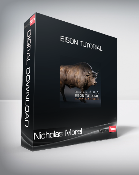 Nicholas Morel - Bison Tutorial