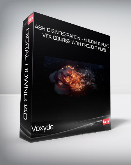 Voxyde - Ash Disintegration - Houdini & Nuke VFX Course with Project Files
