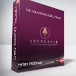 Brian Ridgway - The Abundance Accelerator