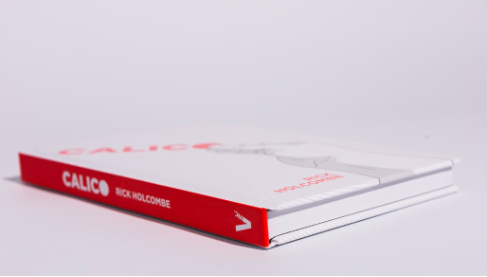 Rick Holcombe - Calico