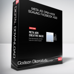 Godson Okorodudu - Meta Ad CPM Hack + Scaling Facebook Ads