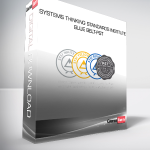 Systems Thinking Standards Institute - Blue Belt-PST