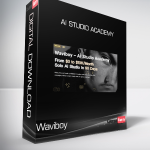 Waviboy - AI Studio Academy