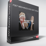 Foot Mechanics and Gait Cycle