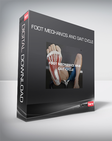 Foot Mechanics and Gait Cycle